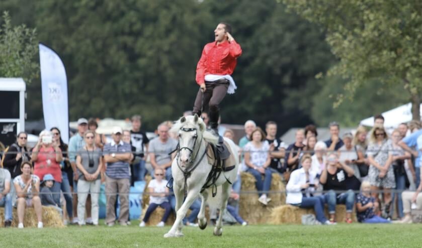 Leuke actiefoto van de Paard & Erfgoed-editie van 2018 in Frederiksoord.