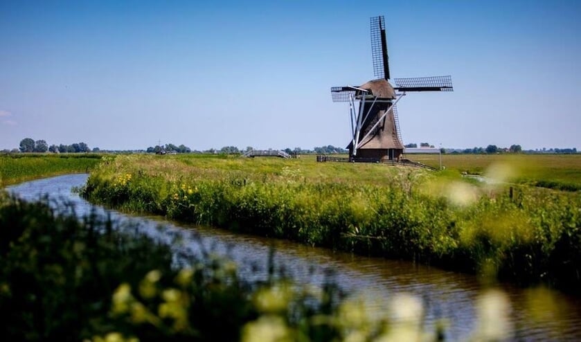 Beeld van de Hempensermarpolder bij Leeuwarden, waar het Wetterskip een kruidenrijk mengsel heeft gezaaid.