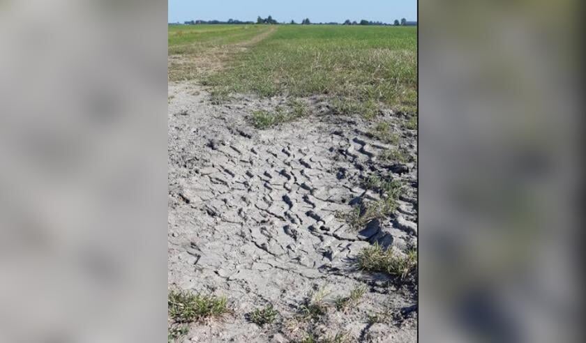 Traditionele Friese kleigrond.