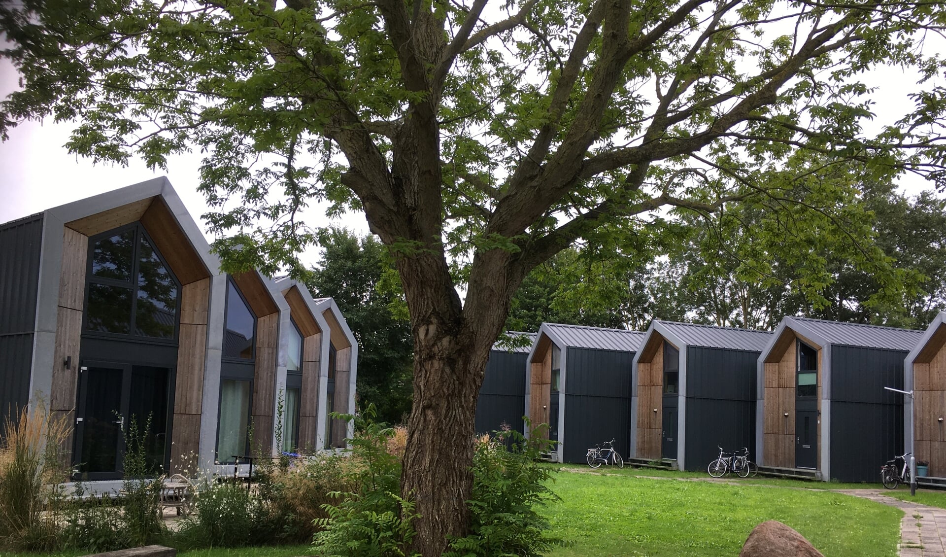 Hoewel het project dus het predicaat geslaagd krijgt, is de toekomst van de Tiny Houses nog ongewis. 