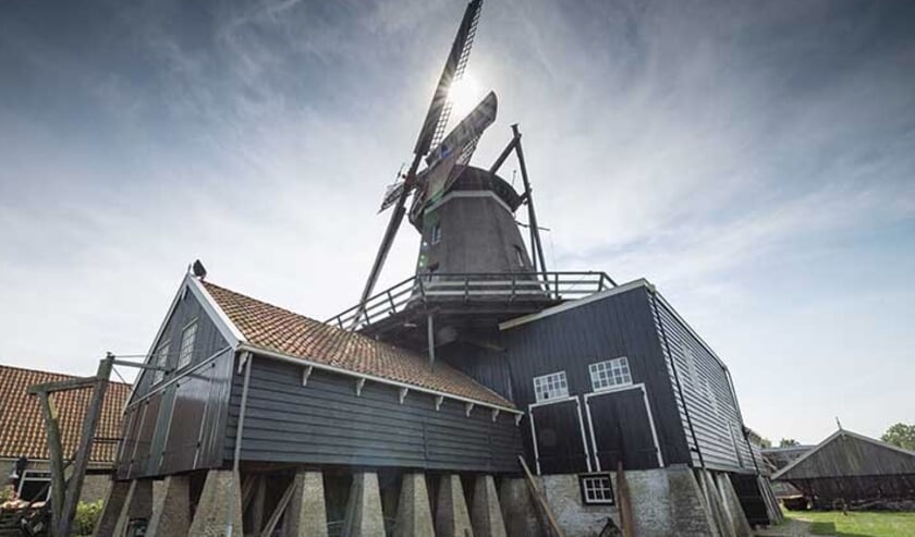 Houtzaagmolen De Rat uit IJlst.