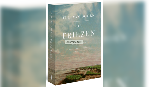Het boek van Flip van Doorn over De Friezen.