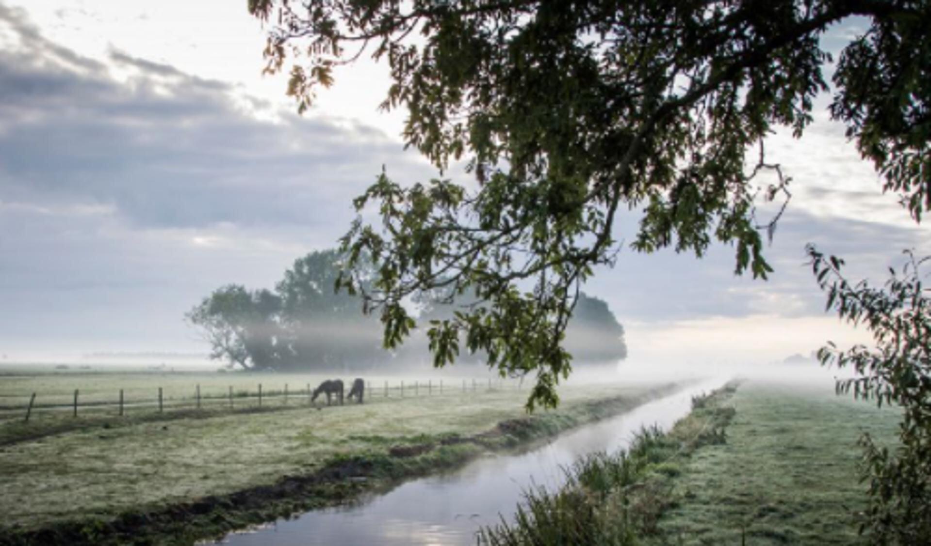 Mooie foto van het Friese agrarisch georiënteerde landschap.