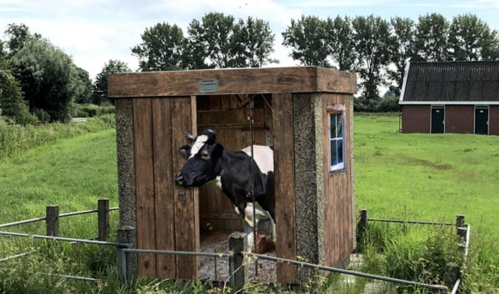 Een koe in een Tiny House?