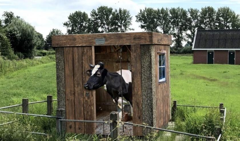 <p>Een koe in een Tiny House?</p>