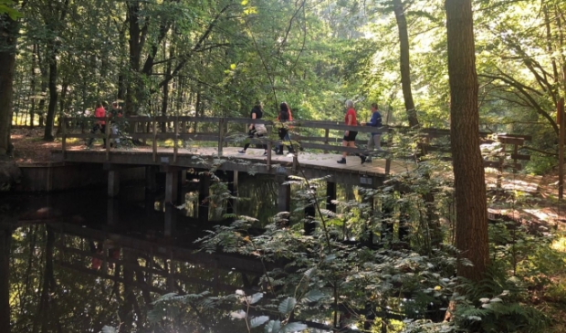 <p>Stichting MOM organiseert activiteiten voor ouders van een kind met een beperking uit Friesland </p>