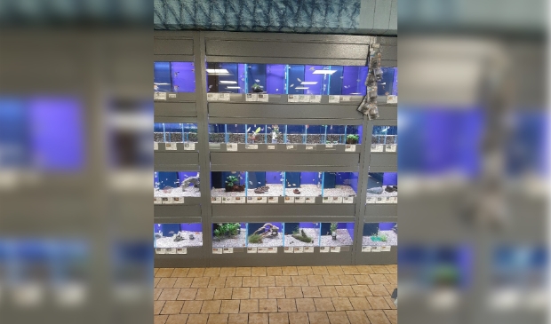 De aquariumafdeling kan weer jaren mee