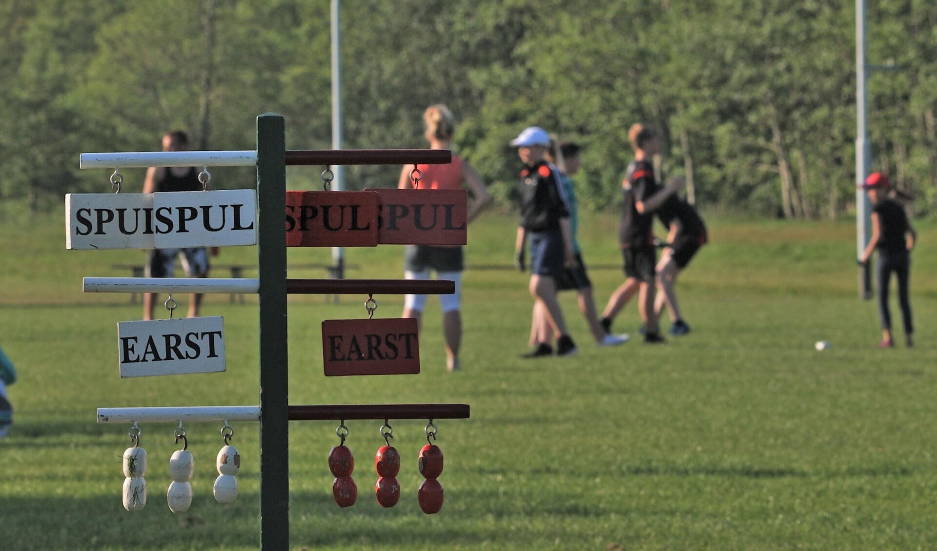 De kaatssport is een voorbeeld van de Fryske cultuur. Negen kennisinstellingen en de provincie slaan de handen ineen om de Friese taal en cultuur en de samenhang te versterken.