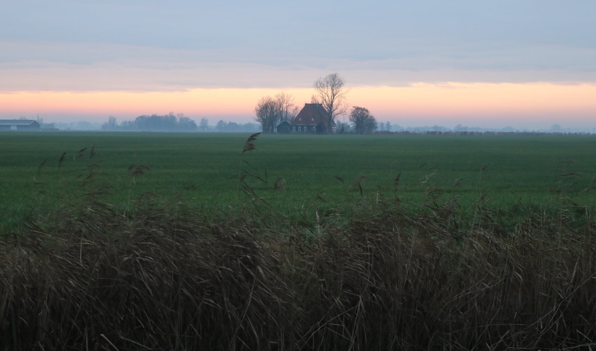 Zomaar een boerderij in het Friese landschap. Boeren en tuinders werken steeds meer met natuurlijke onkruidbestrijders, meldt LTO Noord.
