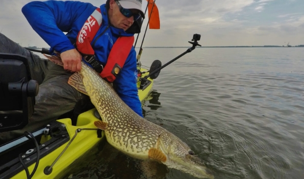 <p>Ronald met een gevangen snoekbaars</p>