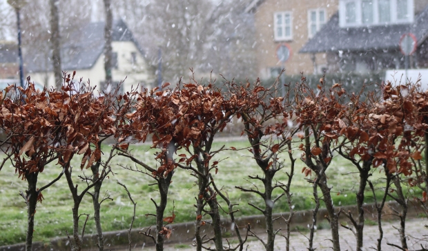 Sneeuw op 5 april 2021, Tweede Paasdag: April doet wat'ie wil.