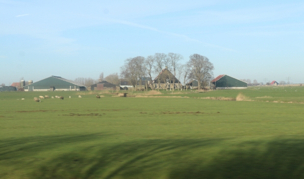 Boeren zorgen goed voor de weidevogels, vindt belangenorganisatie LTO Noord.