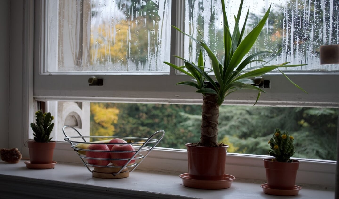 Door het raam open te doen, verbeter je de luchtkwaliteit in huis