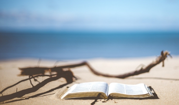 <p>Of je nu op het strand van Makkum ligt, het strand bij Stavoren, het Bergumermeer, de Spokeplas of op je boot aan de Turfroute of de Dokkumer Ee of aan de Costa del Verzinhetmaar: dit zijn heerlijke boeken om te lezen.</p>