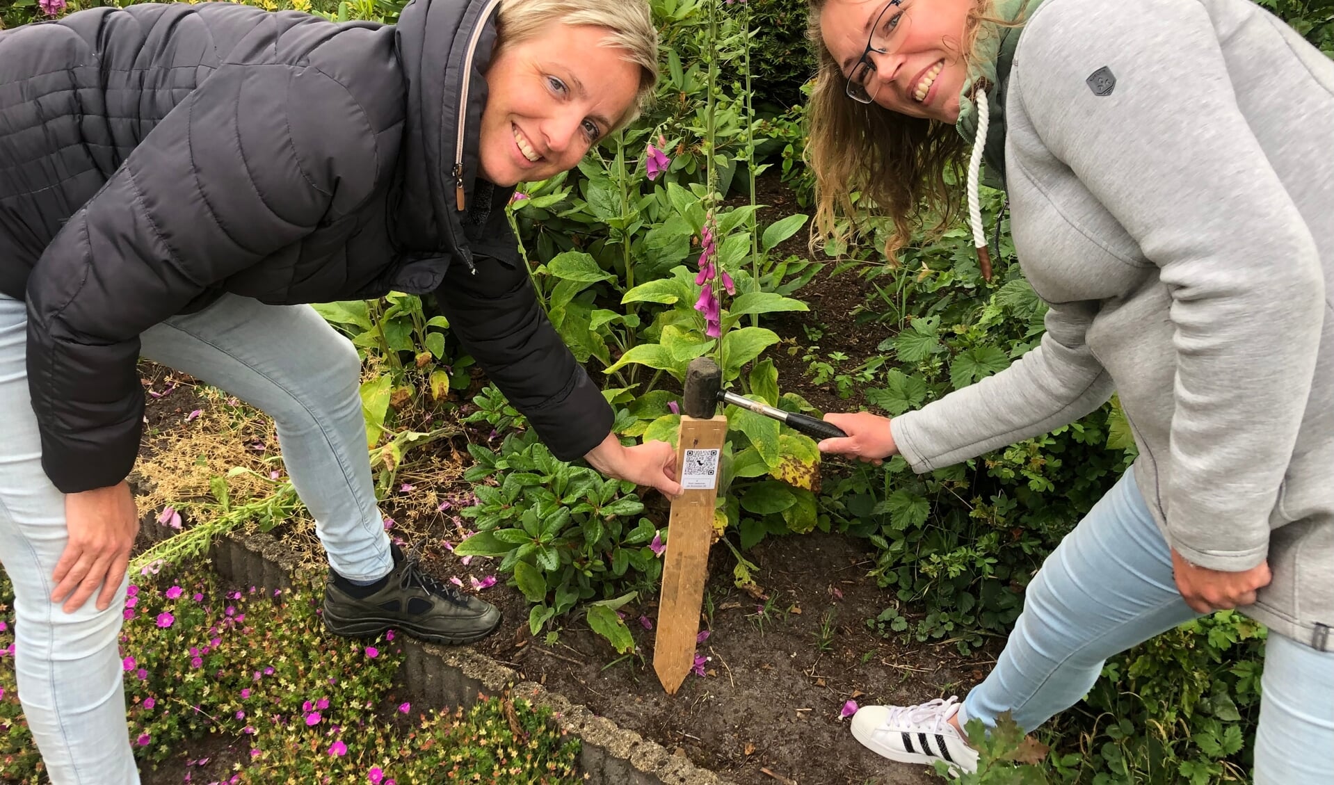 Nynke Kooy en Elizabeth van Houten slaan de eerste paaltjes voor de speurtocht in de grond 