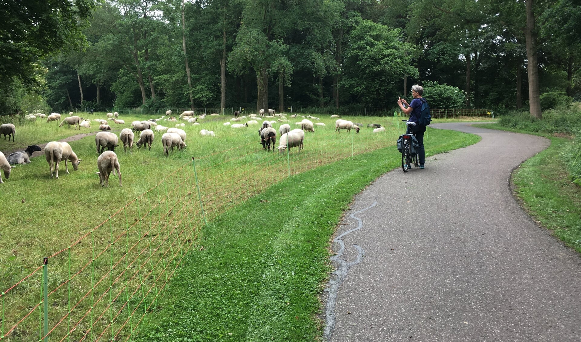 Onderweg een plaatje schieten tijdens de fietsroute Heerenveen-Rottum.