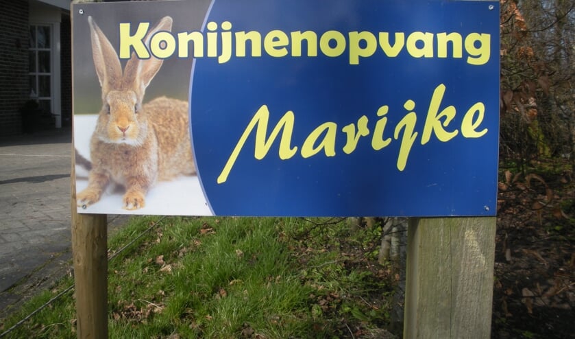 Help jij mee aan een nieuwe schuur voor Konijnenopvang Marijke?