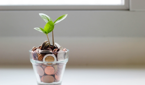 <p>De overheid helpt huiseigenaren om te investeren in groene oplossingen</p>