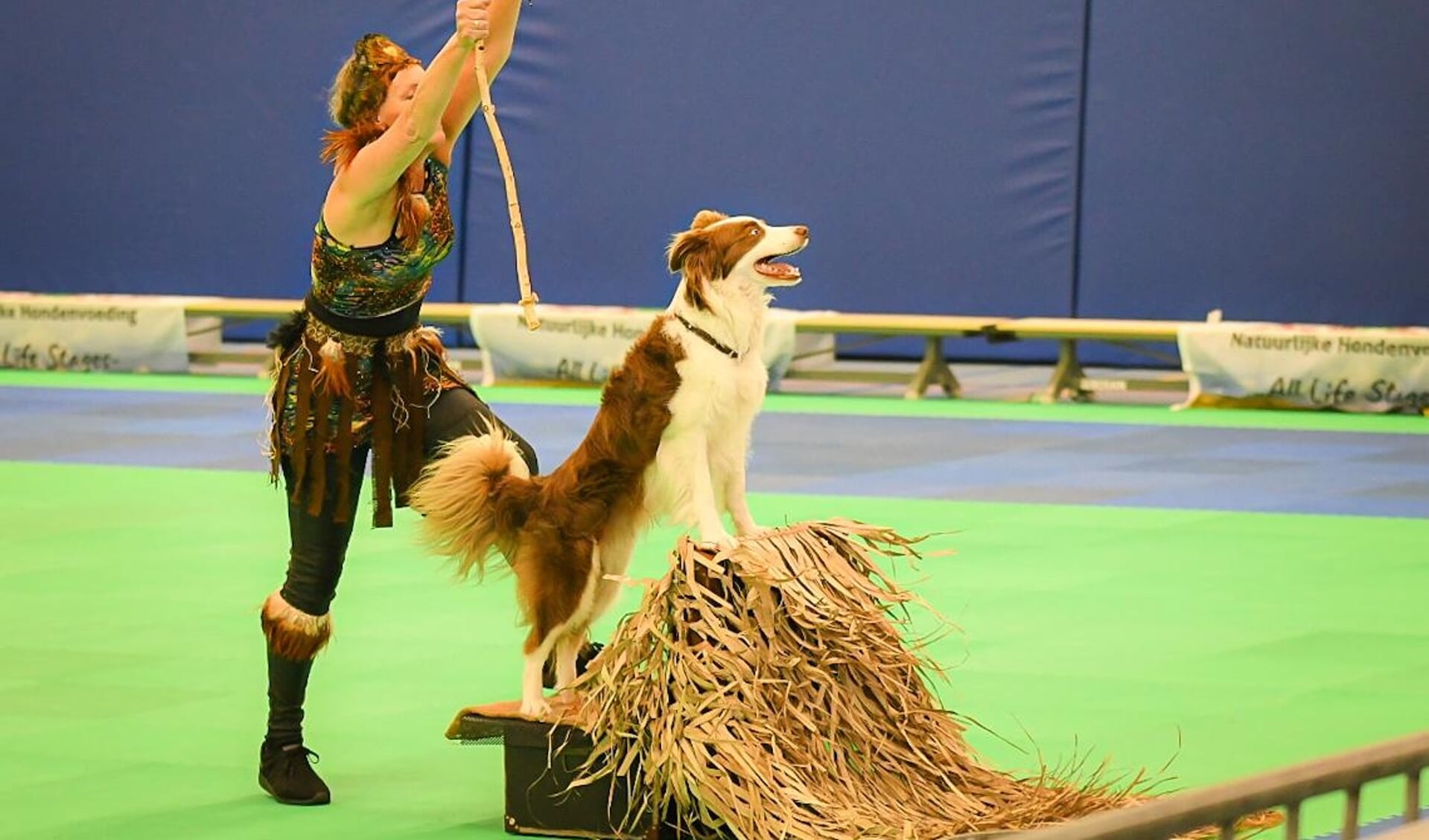 Het EK Dog Dance in Bergum was een groot succes.