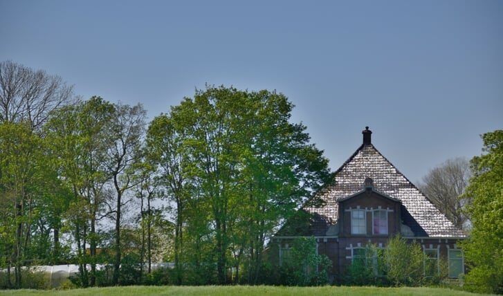 Afbeelding