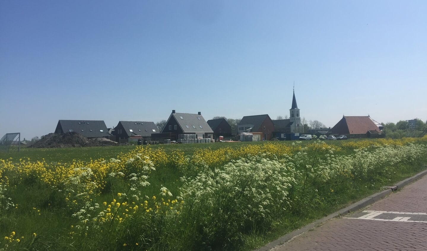 Afbeelding