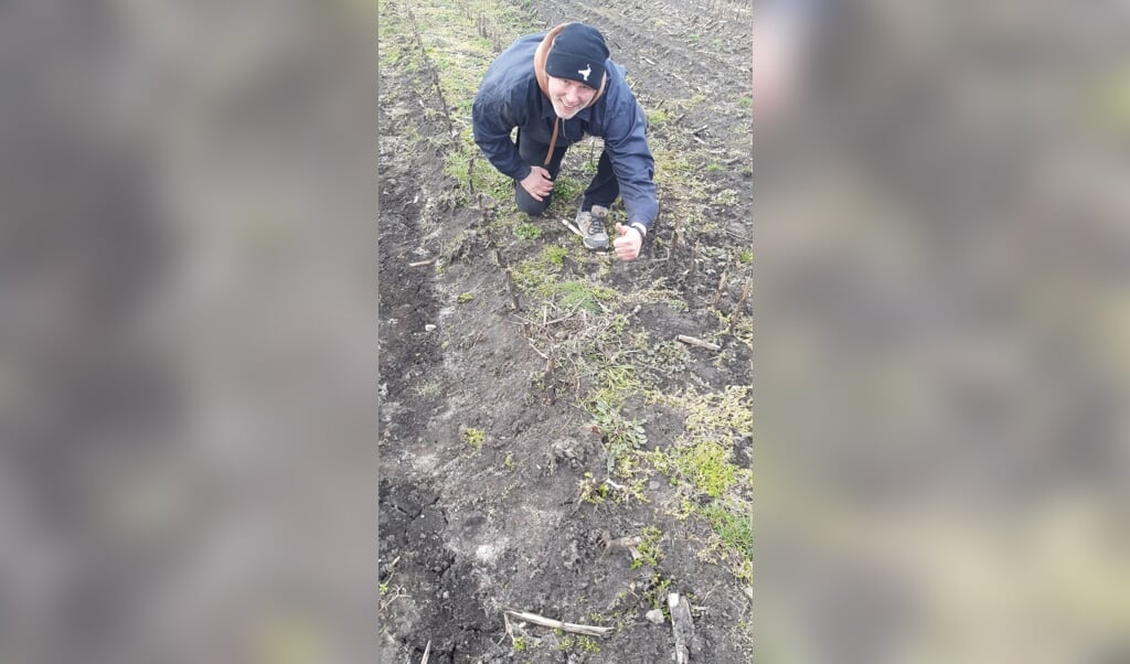 Eerste kievitsei gevonden tussen TIjnje en Nij Beets. 