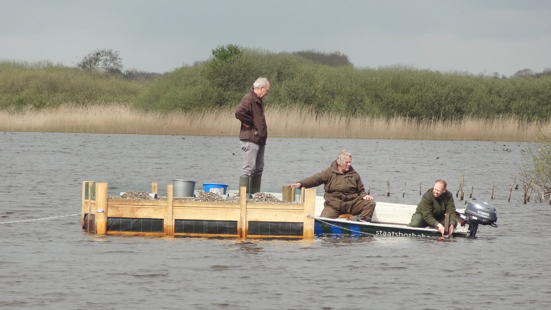 Het vlot voor de visdiefjes wordt door Harm en Tjeerd (Geaflecht) en boswachter Bennie Henstra verankerd in het water.