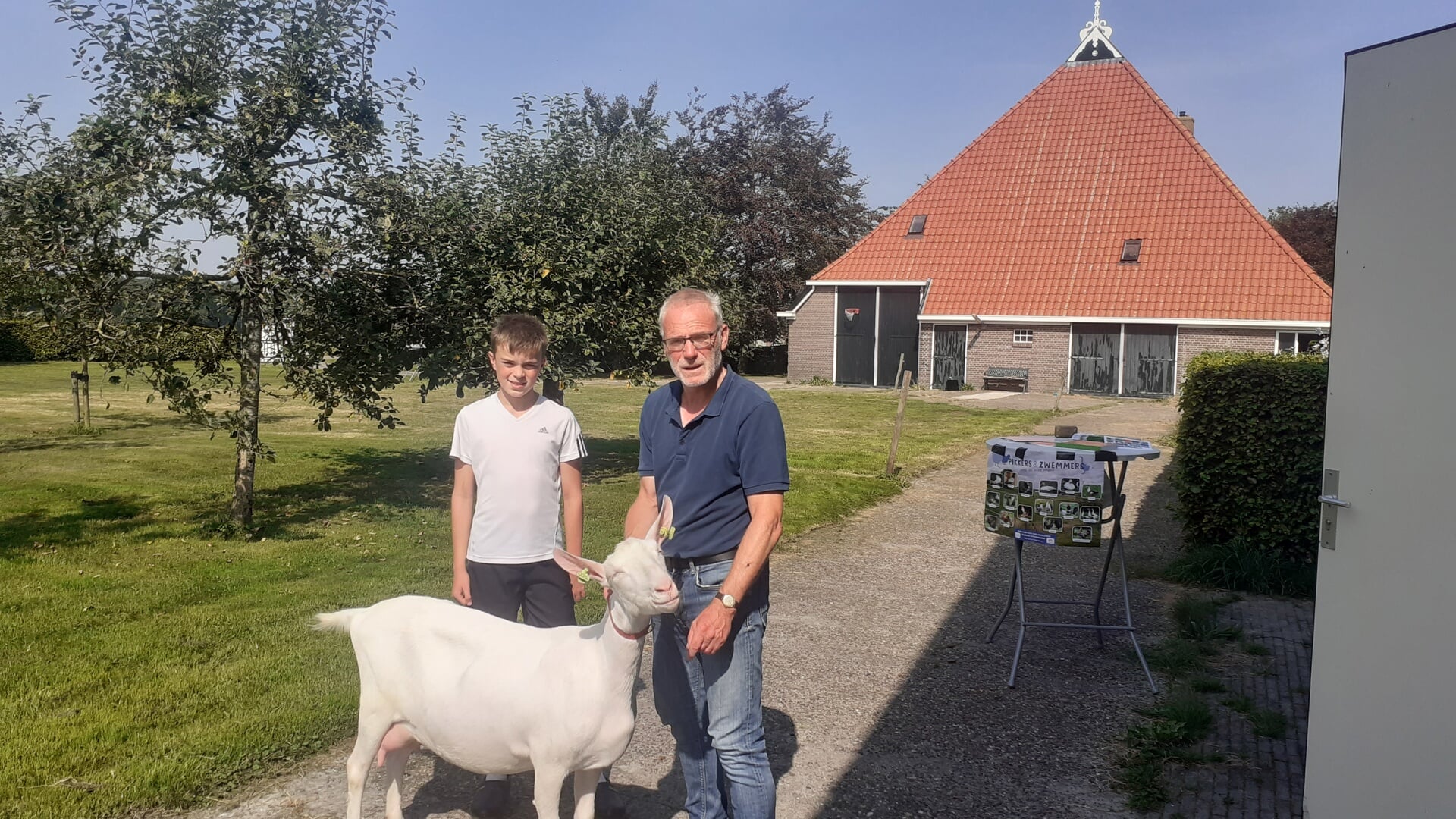 Floris en Sietse van der Wal houden Nederlandse witte geiten.