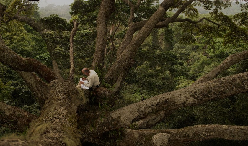 Tijdens het festival worden prijswinnende documentaires als The Secret Lives of Trees vertoond