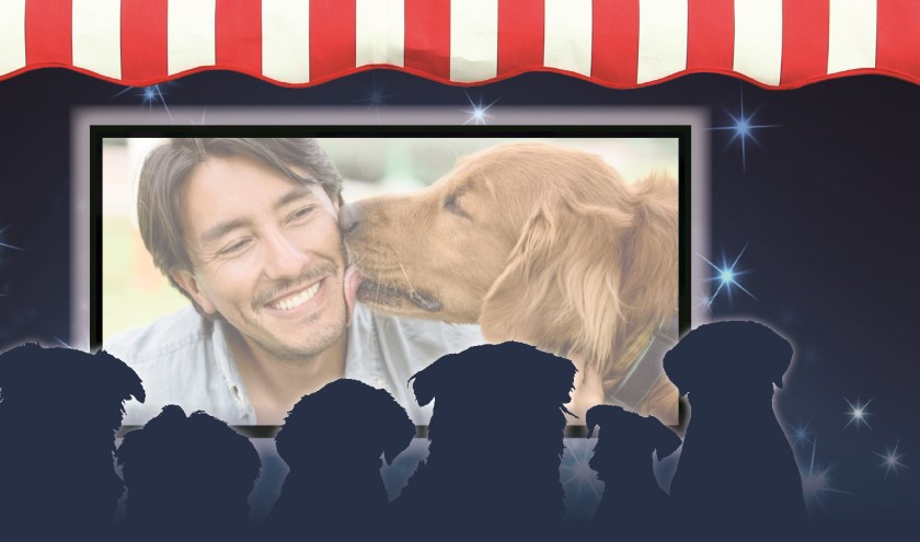 Het Dierendagfeest wordt afgesloten met een buitenbioscoop waarbij ook uw hond welkom is