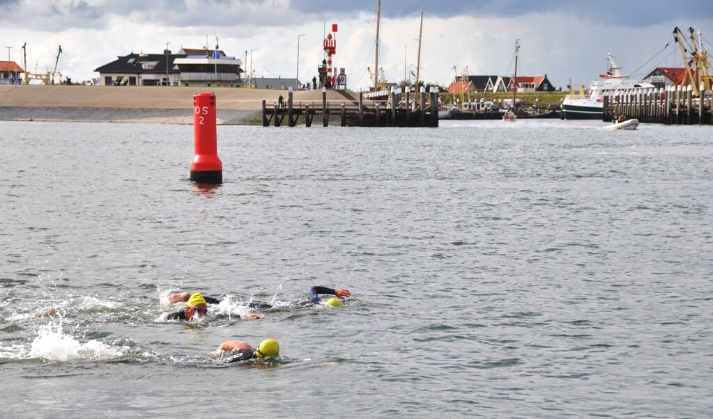 Zwemmers voor de haven van Oudeschild.