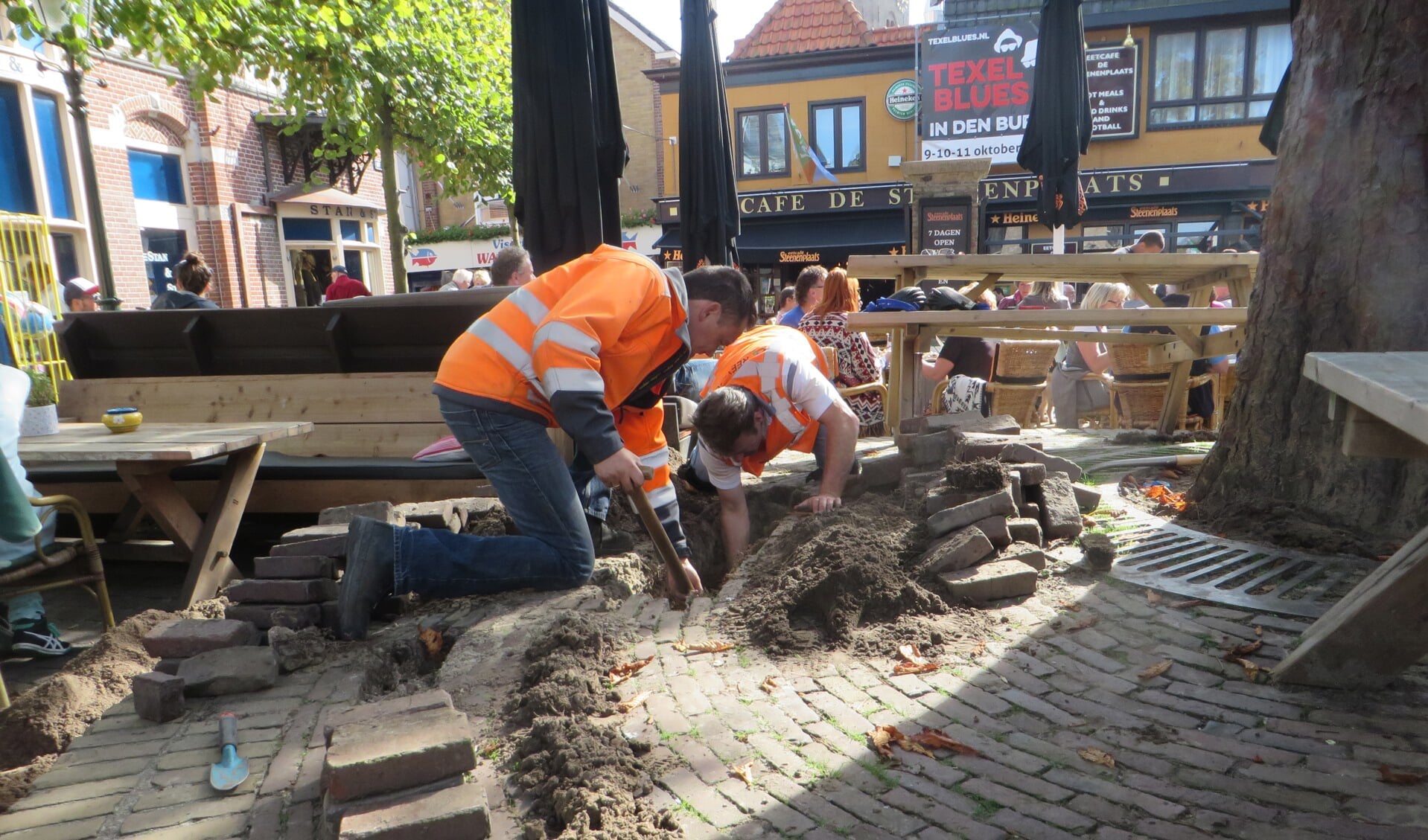 Deskundigen onderzoeken het wortelgestel van de kastanjeboom op de Stenenplaats. (Foto gemeente Texel)