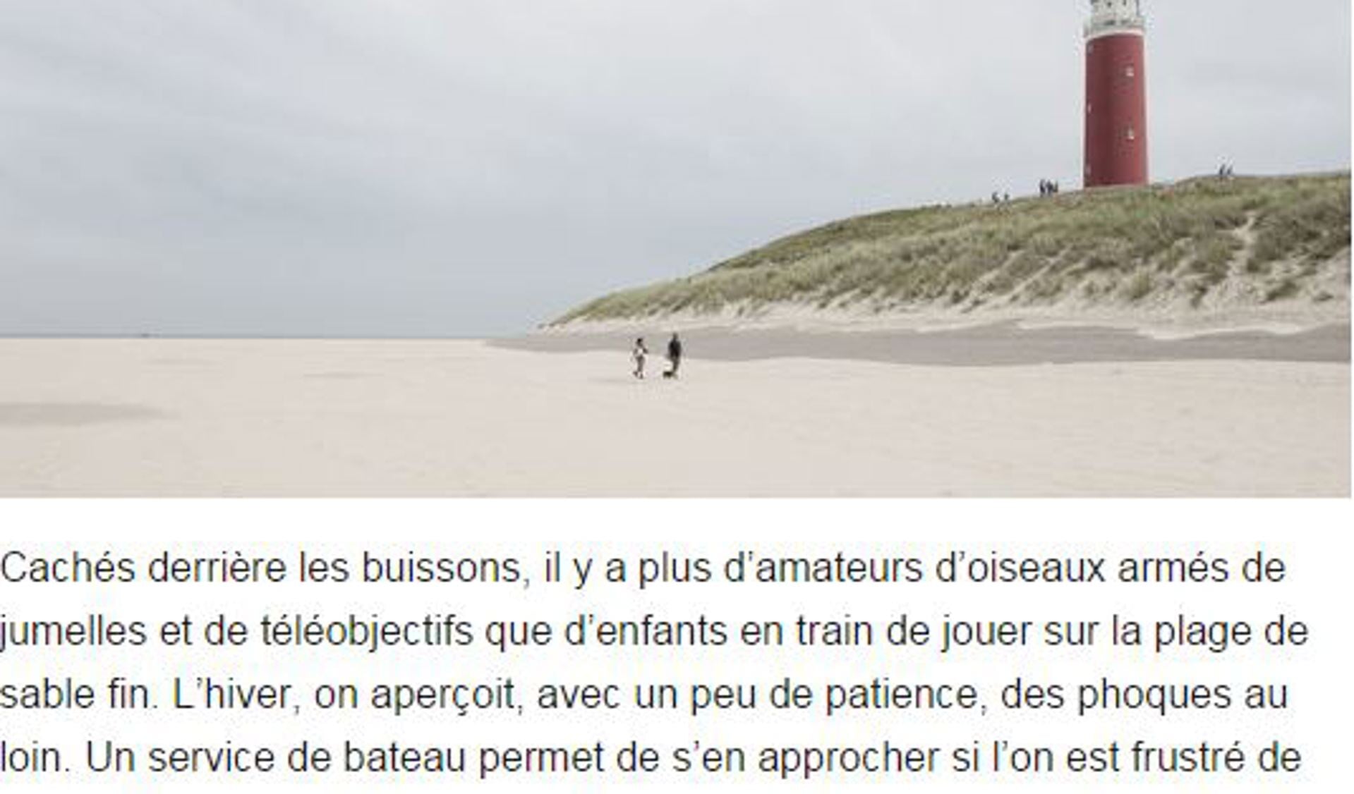 Knipsel uit een artikel over Texel in Le Monde. 