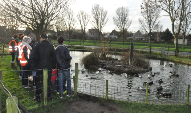 Gezamenlijk eendjes voeren bij de kinderboerderij.