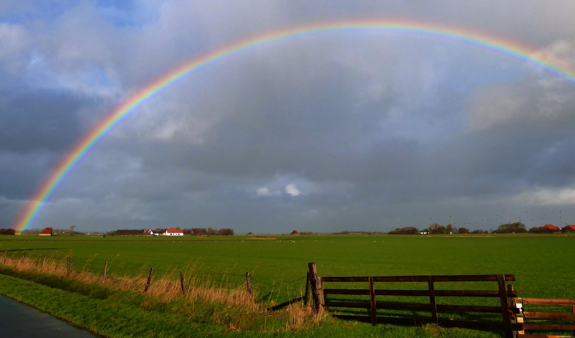 De regenboog boven het Texelse landschap.