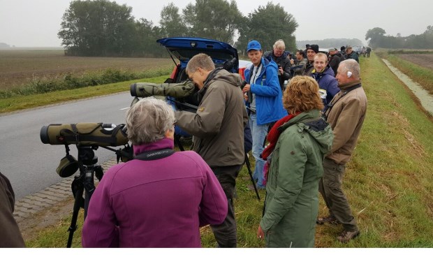Vogelaars bekijken een woestijntapuit aan de Hoofdweg. (Foto Marc Plomp)