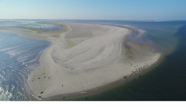 Foto door Texel van Boven