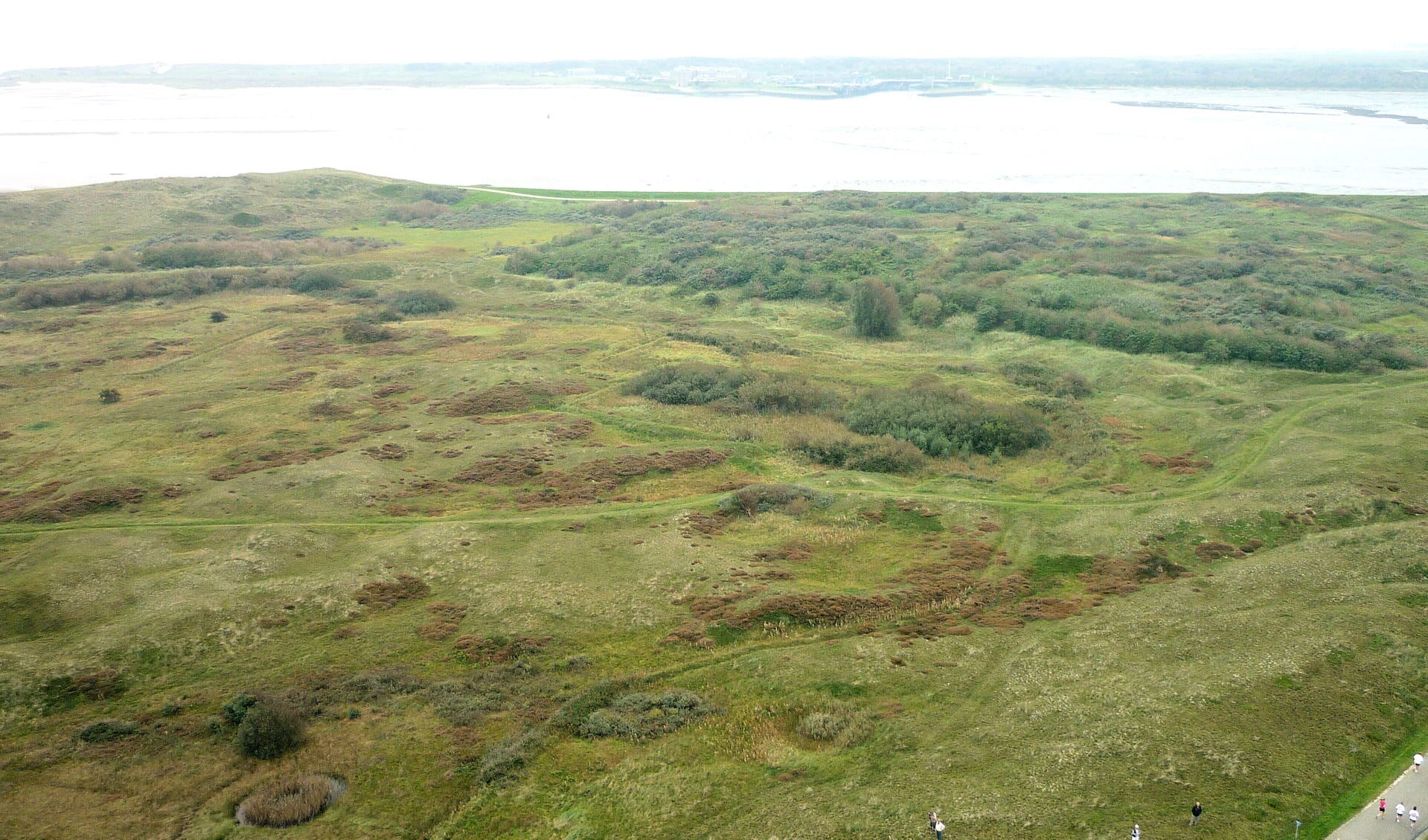 Het gebied van de voormalige vuilstort aan het Molwerk, afgedekt met grond. 