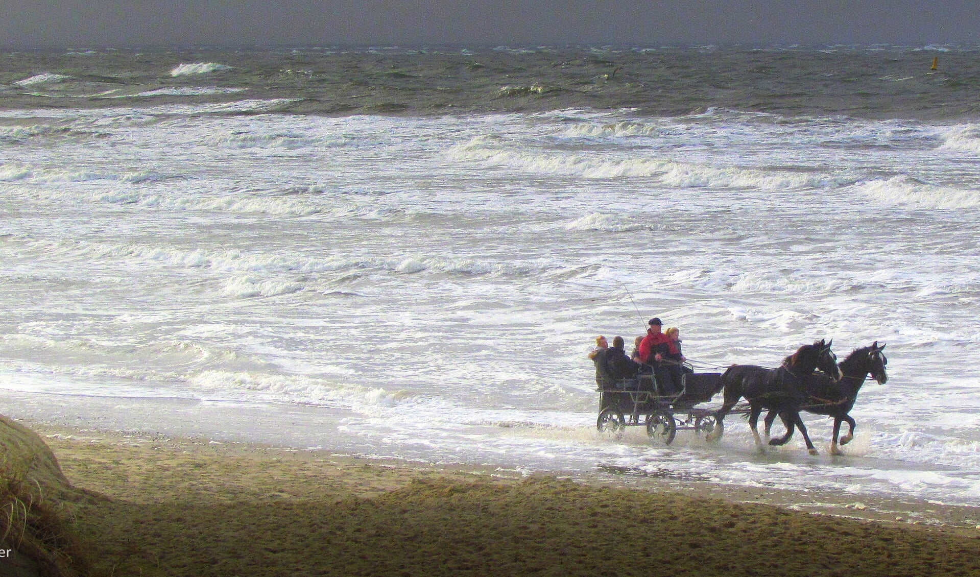 Paard en wagen door het water bij Paal 9.