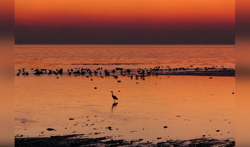 Foto Marina Dijs.