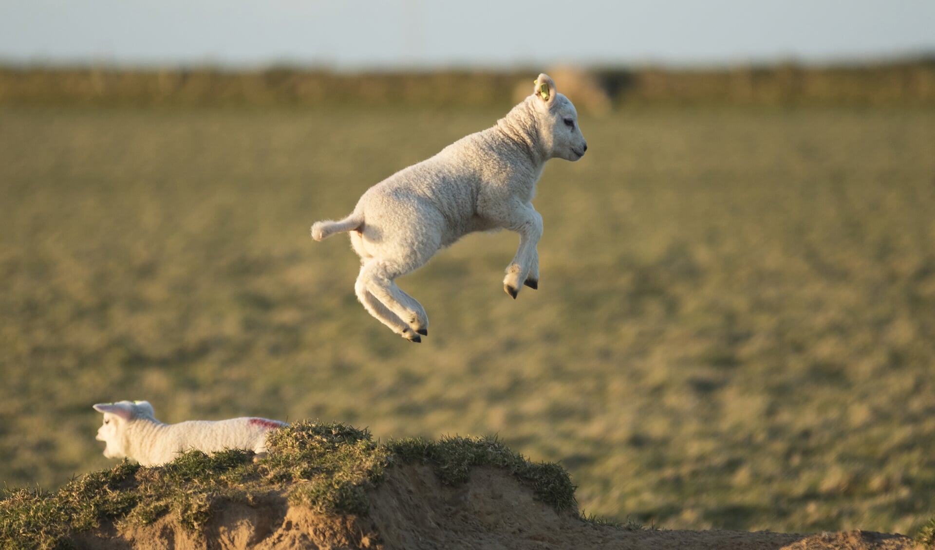 Perfecte timing door Hanneke Roeper.