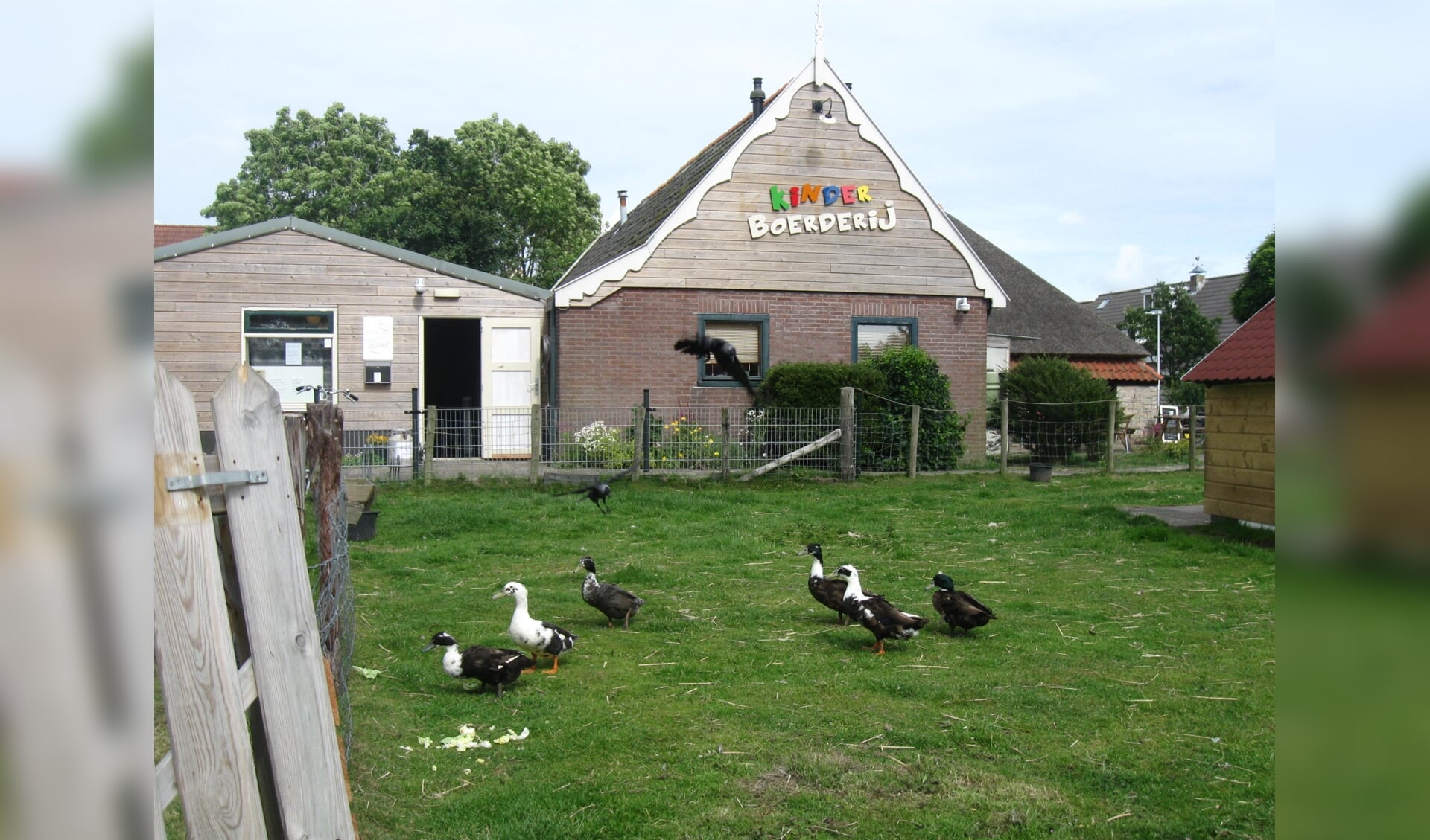 De kinderboerderij in Den Burg.