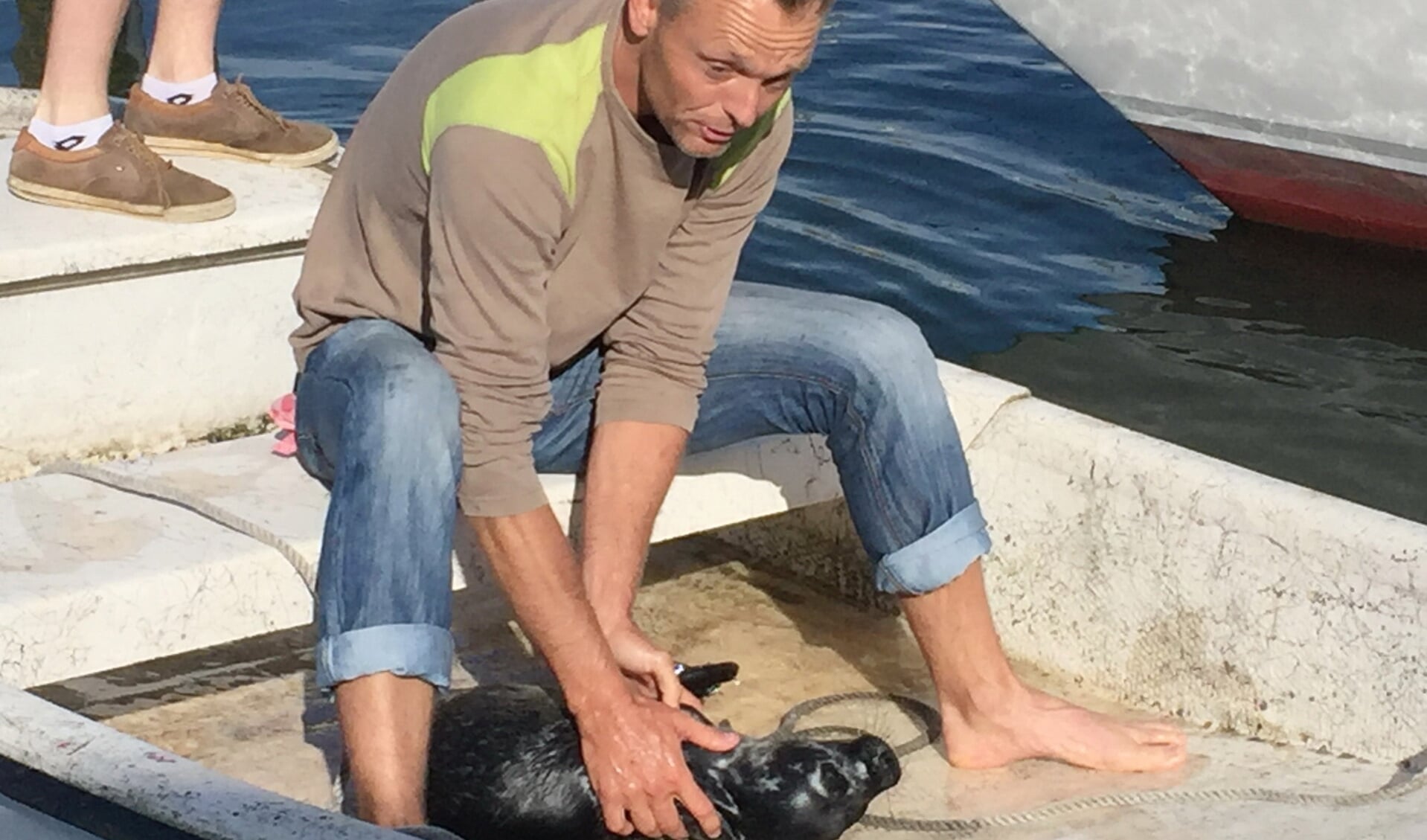 Erik le Roux  ontfermt zich over het jonge zeehondje.
Foto Jook Nauta