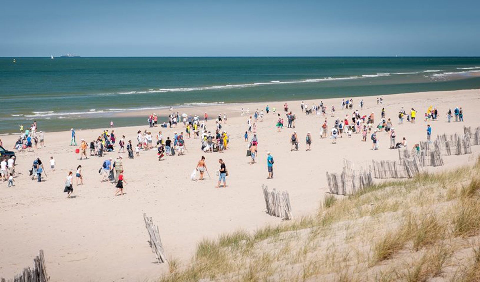 Foto Beach Cleanup