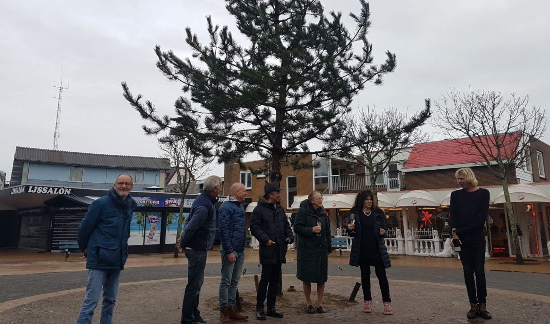 De nieuwe boom op het dorpsplein van De Koog.