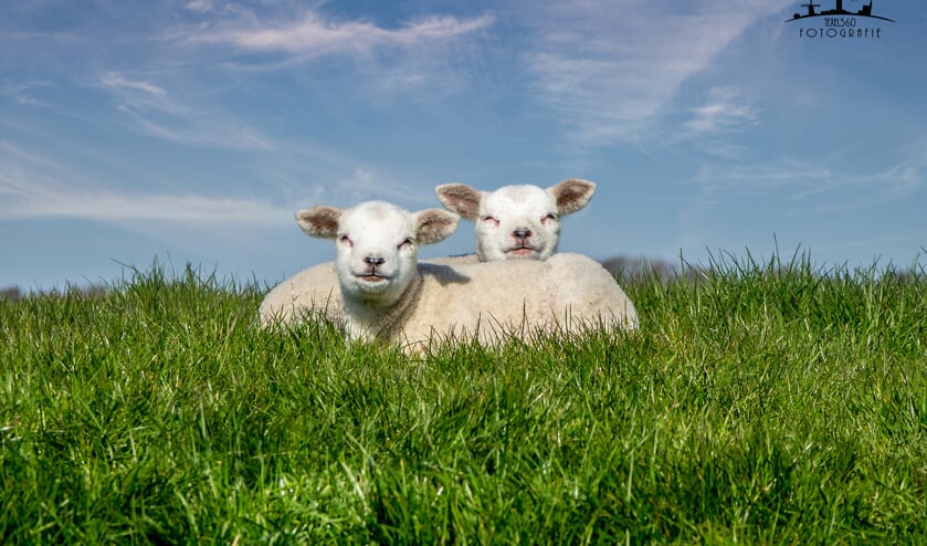 Is dit geen natuur?