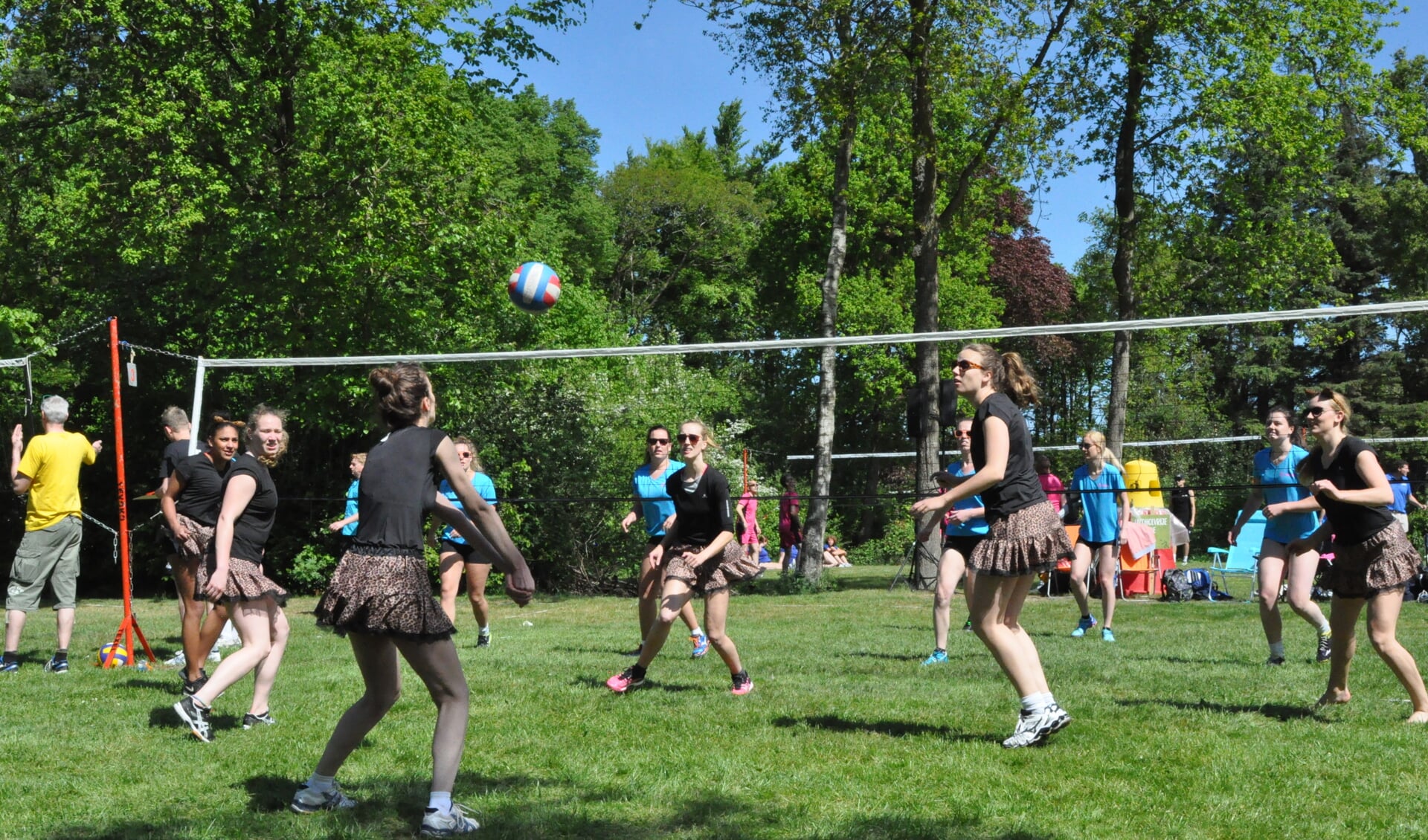 Zonovergoten volleybalvelden. (Foto's Willem Sangers)
