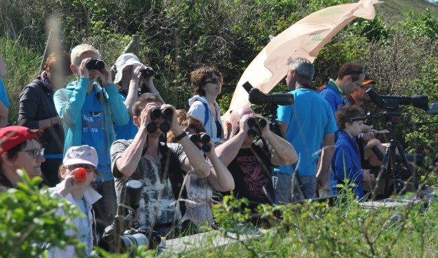 Bezoekers van het Wadden Vogelfestival in 2016 aan de noordkant van de Slufter.