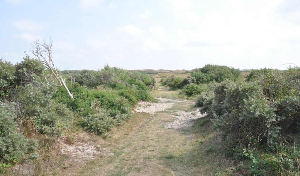 Een van de groene wandelroutes door de Muy die weer open gaat.
