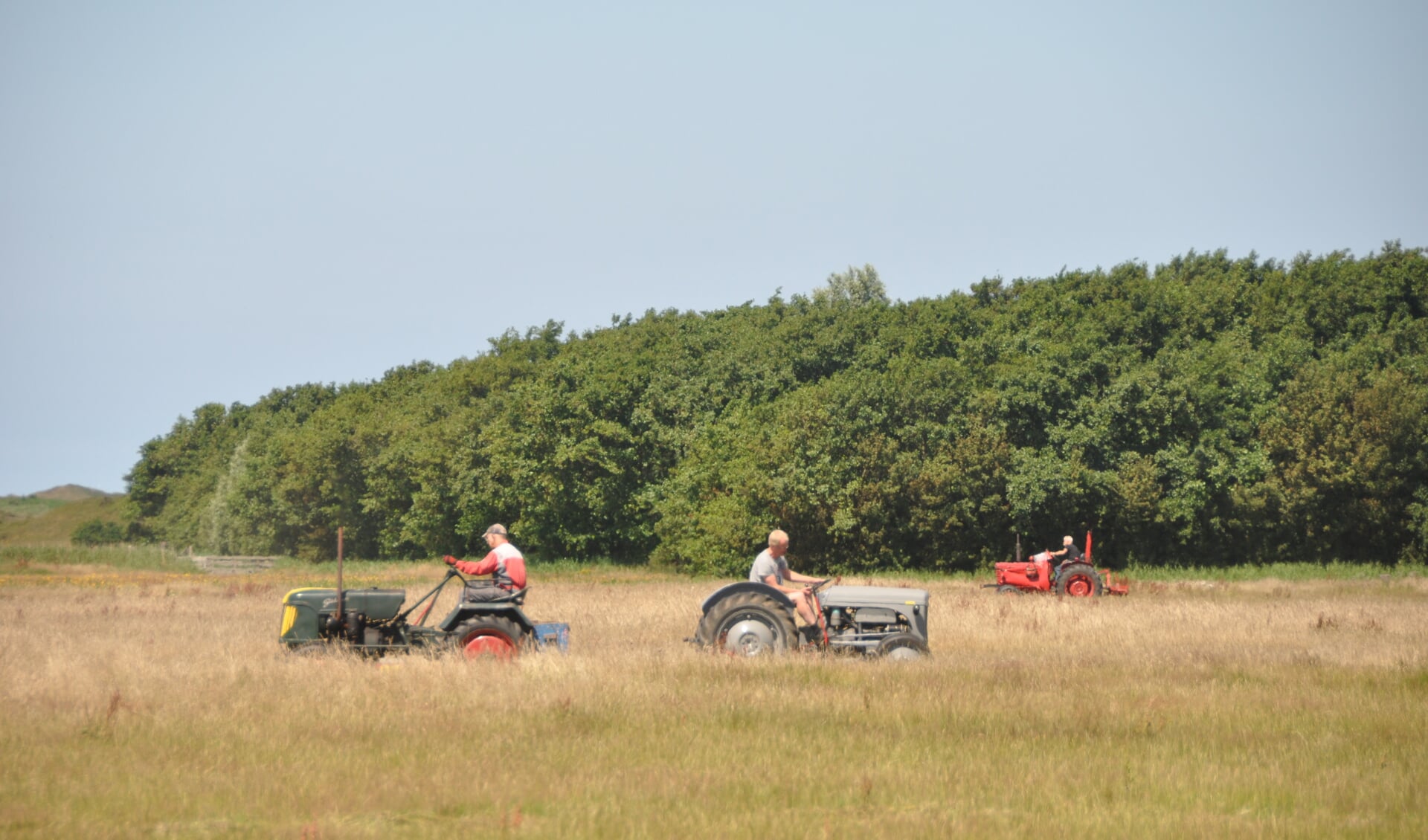 Drie deelnemers aan het werk in het veld.